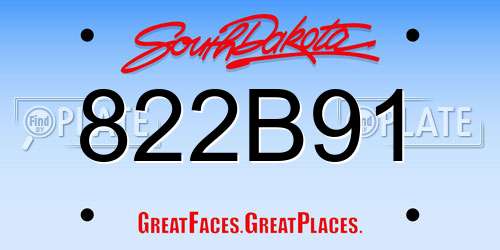 822B91 South Dakota License Plate