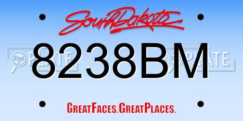 8238BM South Dakota License Plate