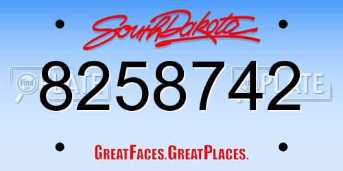 8258742 South Dakota License Plate