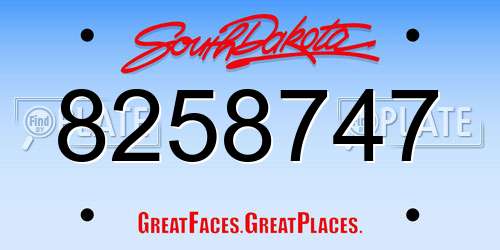 8258747 South Dakota License Plate