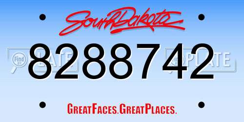 8288742 South Dakota License Plate