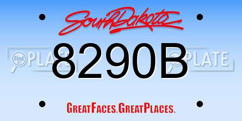 8290B South Dakota License Plate
