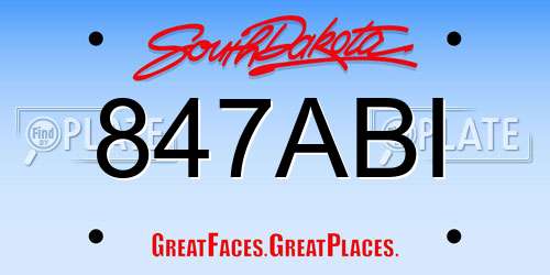 847ABI South Dakota License Plate