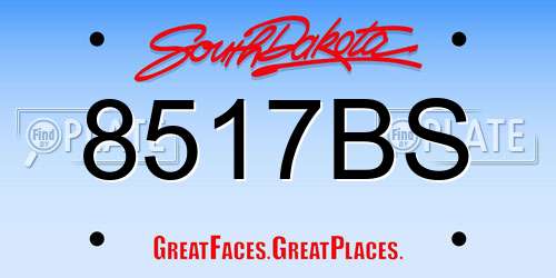 8517BS South Dakota License Plate