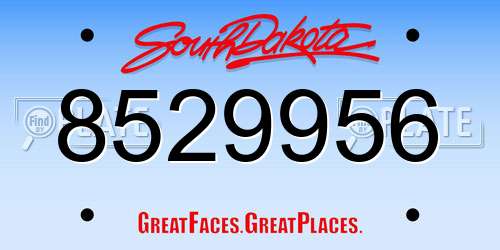 8529956 South Dakota License Plate