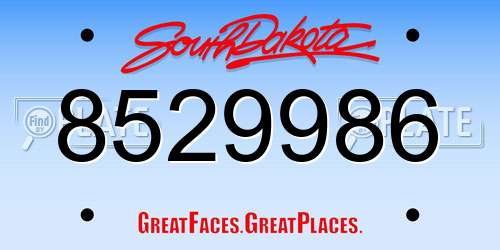 8529986 South Dakota License Plate