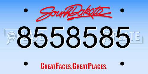 8558585 South Dakota License Plate