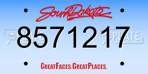 8571217 South Dakota License Plate