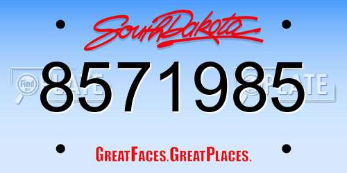 8571985 South Dakota License Plate