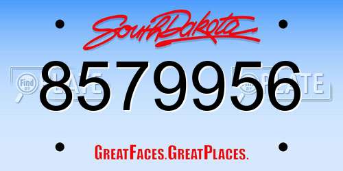 8579956 South Dakota License Plate