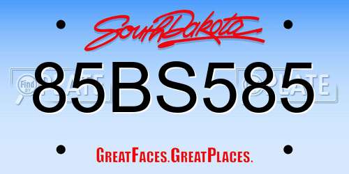 85BS585 South Dakota License Plate