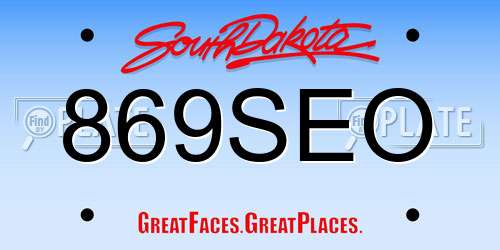 869SEO South Dakota License Plate