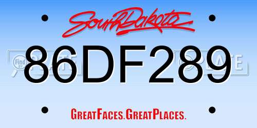 86DF289 South Dakota License Plate