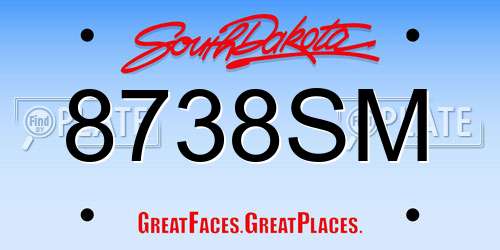 8738SM South Dakota License Plate