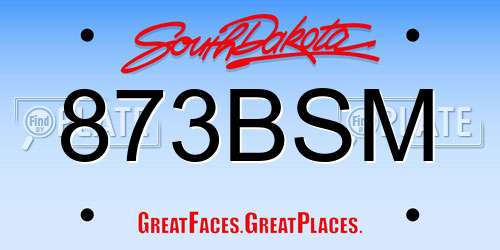 873BSM South Dakota License Plate