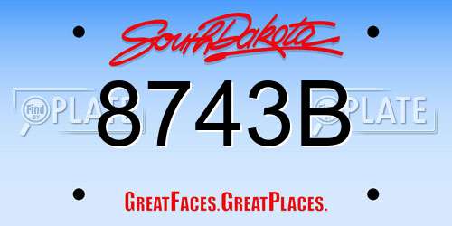 8743B South Dakota License Plate
