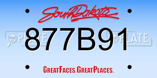 877B91 South Dakota License Plate