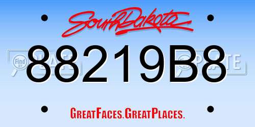88219B8 South Dakota License Plate