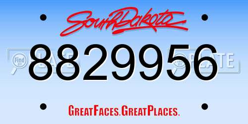 8829956 South Dakota License Plate