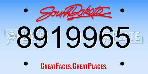 8919965 South Dakota License Plate