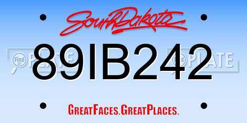 89IB242 South Dakota License Plate