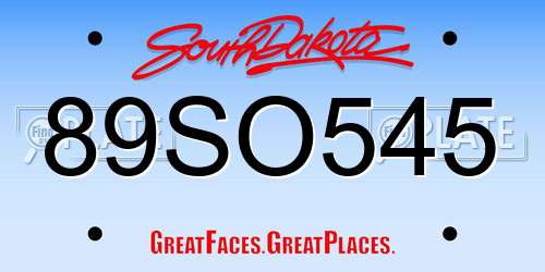 89SO545 South Dakota License Plate