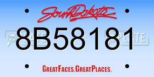 8B58181 South Dakota License Plate