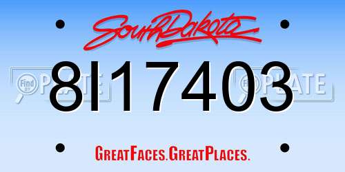 8I17403 South Dakota License Plate