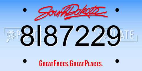 8I87229 South Dakota License Plate