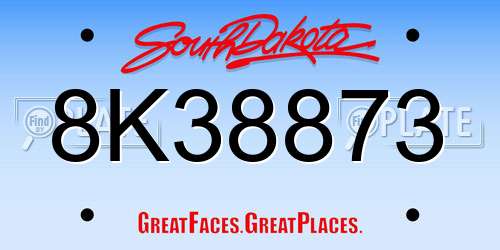 8K38873 South Dakota License Plate