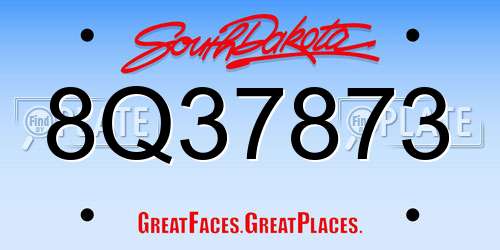 8Q37873 South Dakota License Plate