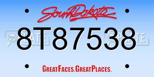 8T87538 South Dakota License Plate