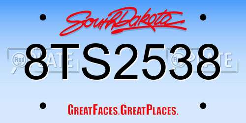 8TS2538 South Dakota License Plate