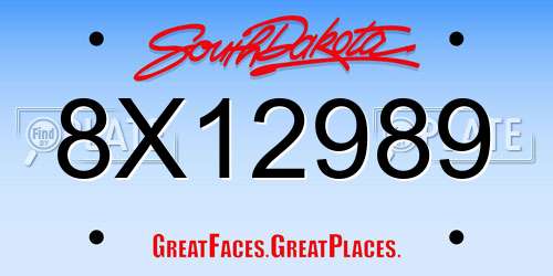8X12989 South Dakota License Plate