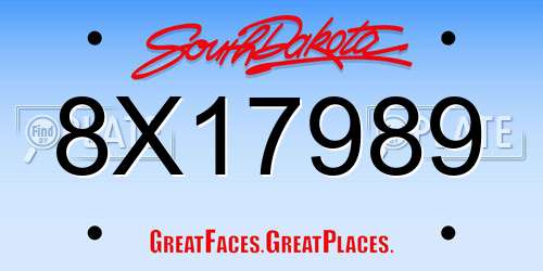 8X17989 South Dakota License Plate
