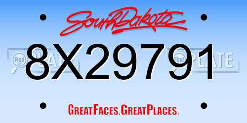 8X29791 South Dakota License Plate