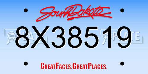 8X38519 South Dakota License Plate