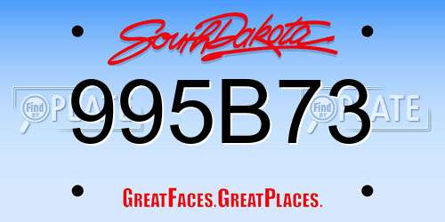995B73 South Dakota License Plate