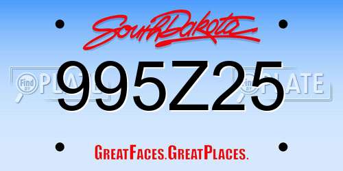 995Z25 South Dakota License Plate