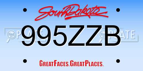 995ZZB South Dakota License Plate