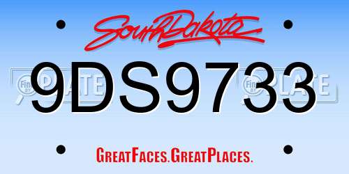 9DS9733 South Dakota License Plate