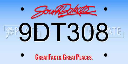 9DT308 South Dakota License Plate
