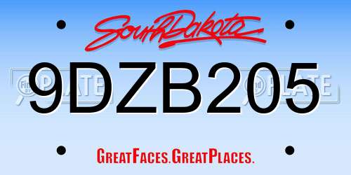 9DZB205 South Dakota License Plate