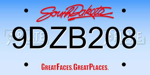 9DZB208 South Dakota License Plate