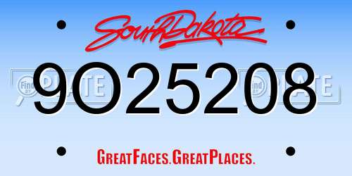 9O25208 South Dakota License Plate