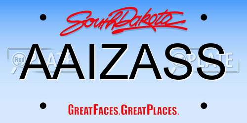 AAIZASS South Dakota License Plate