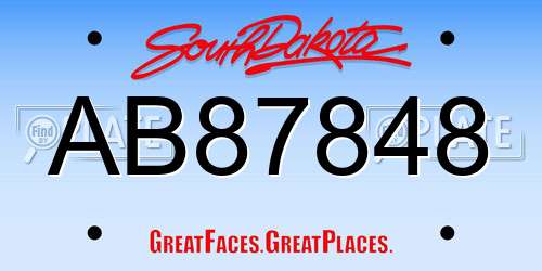 AB87848 South Dakota License Plate