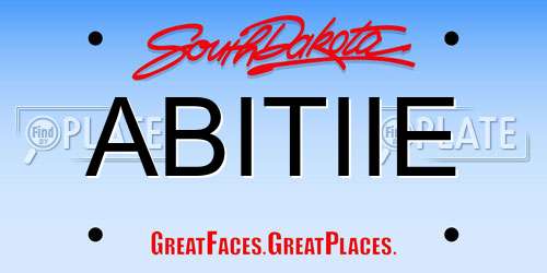 ABITIIE South Dakota License Plate