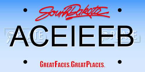ACEIEEB South Dakota License Plate