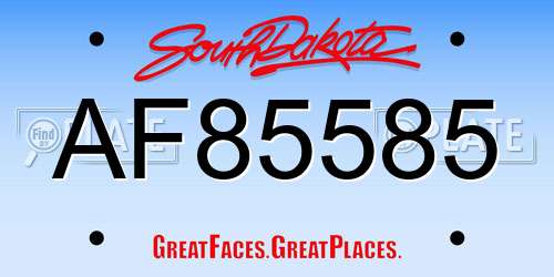 AF85585 South Dakota License Plate